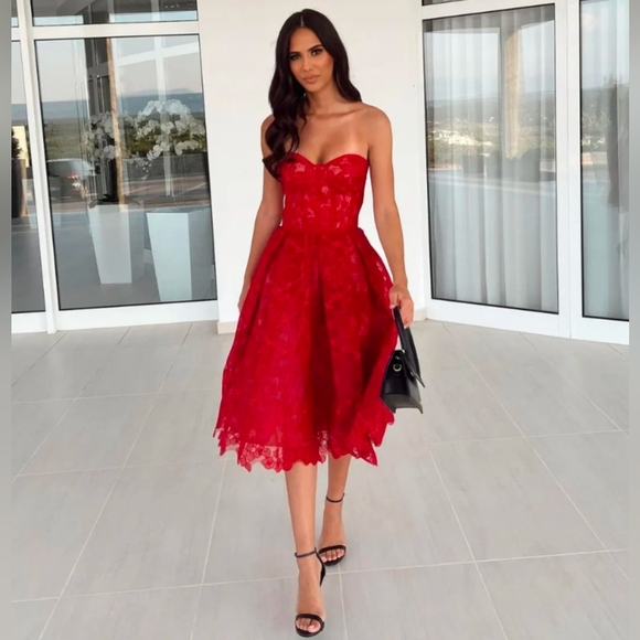 Nadine Merabi Olivia Red Lace Corsetry Bodice Dress Size Small/4 - Picture 1 of 14